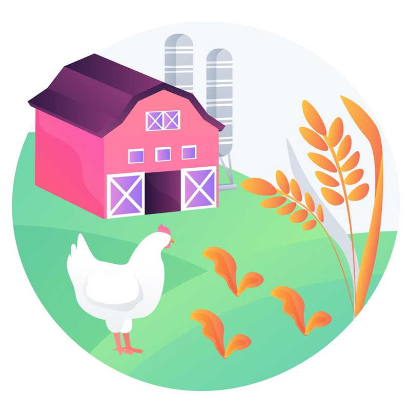 Poultry Farm